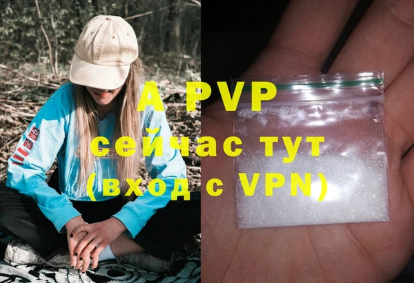 дживик Михайлов