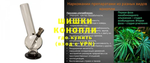 мдпв Бородино