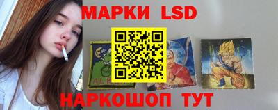 стаф Гай