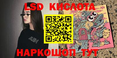 стаф Гай