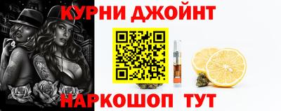 стаф Гай