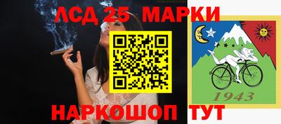 спиды Гагарин
