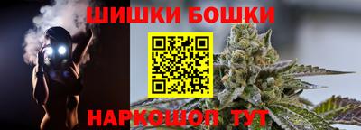 стаф Гай