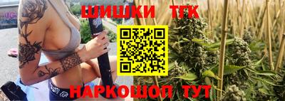 стаф Гай