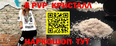 спиды Гагарин