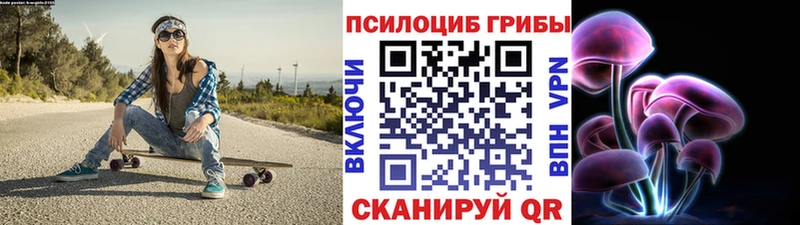 Галлюциногенные грибы Cubensis  закладка  Менделеевск 