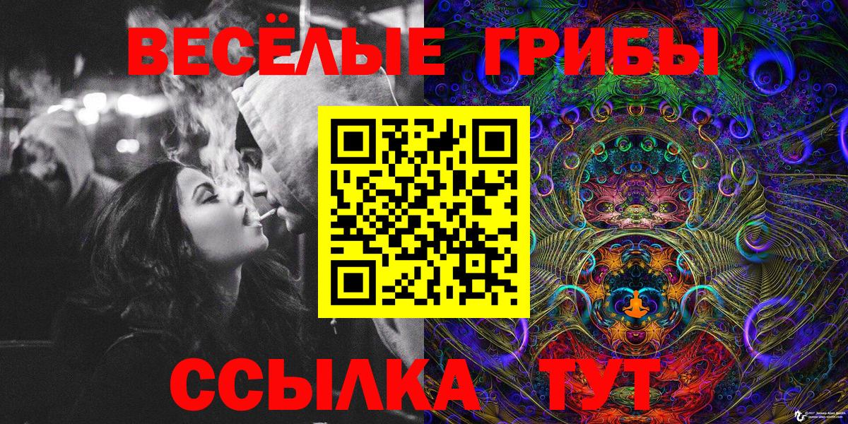 Менделеевск  Псилоцибиновые грибы Cubensis  продажа наркотиков  Вход с VPN 