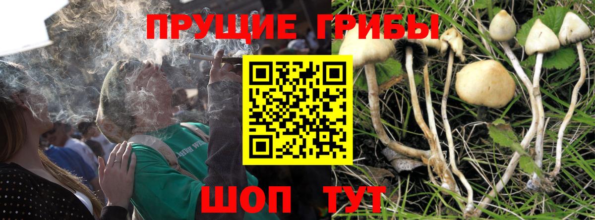 Псилоцибиновые грибы Magic Shrooms  где купить наркоту  Галлюциногенные грибы Magic Shrooms  Менделеевск 