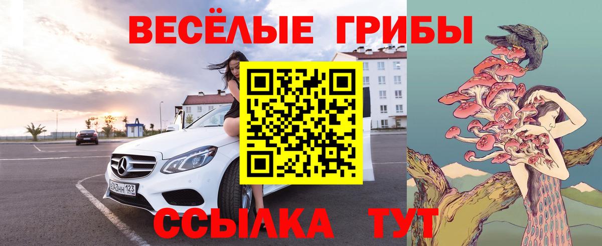 Галлюциногенные грибы мухоморы Менделеевск