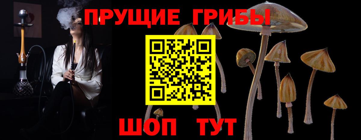 Псилоцибиновые грибы MAGIC MUSHROOMS Менделеевск