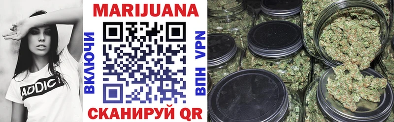 где купить Менделеевск Конопля SATIVA & INDICA